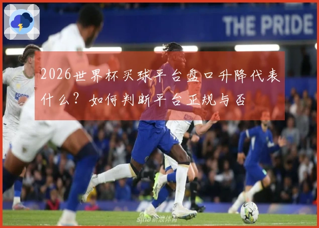 2026世界杯买球平台盘口升降代表什么？如何判断平台正规与否