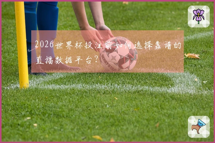 2026世界杯投注前如何选择靠谱的直播数据平台？
