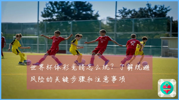 世界杯体彩竞猜怎么玩？了解规避风险的关键步骤和注意事项