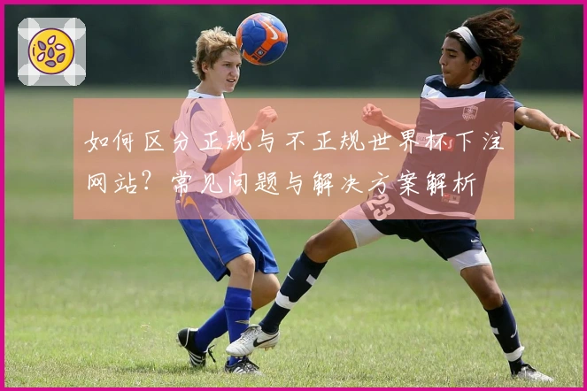 如何区分正规与不正规世界杯下注网站？常见问题与解决方案解析