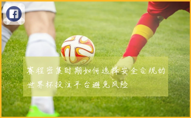 赛程密集时期如何选择安全合规的世界杯投注平台避免风险