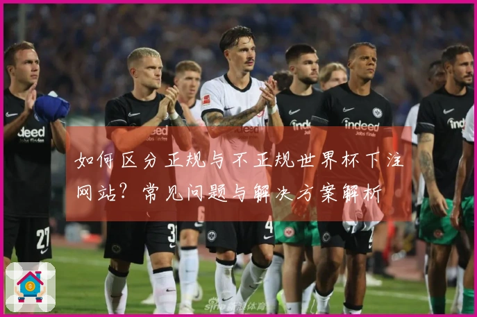 如何区分正规与不正规世界杯下注网站？常见问题与解决方案解析