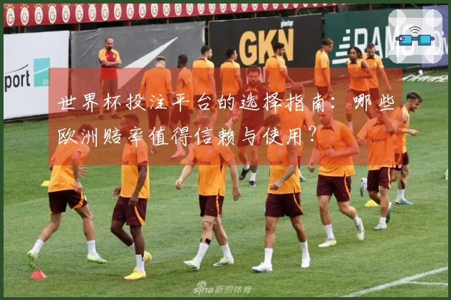 世界杯投注平台的选择指南：哪些欧洲赔率值得信赖与使用？